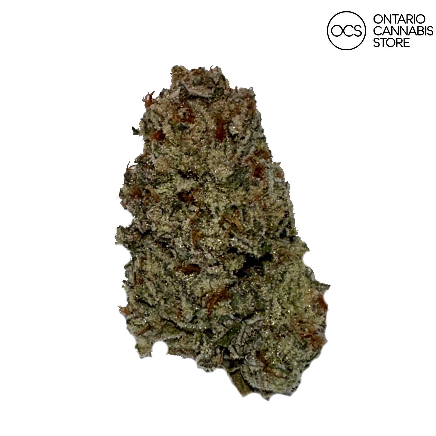 Wifi OG